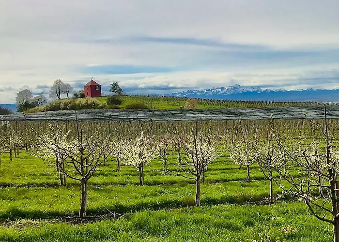 Apartment Haus Am Apfelweg Immenstaad am Bodensee