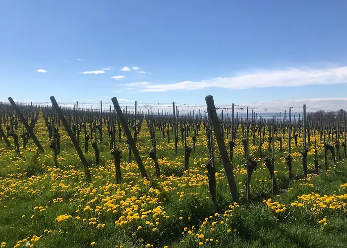 Haus Am Apfelweg Apartment *